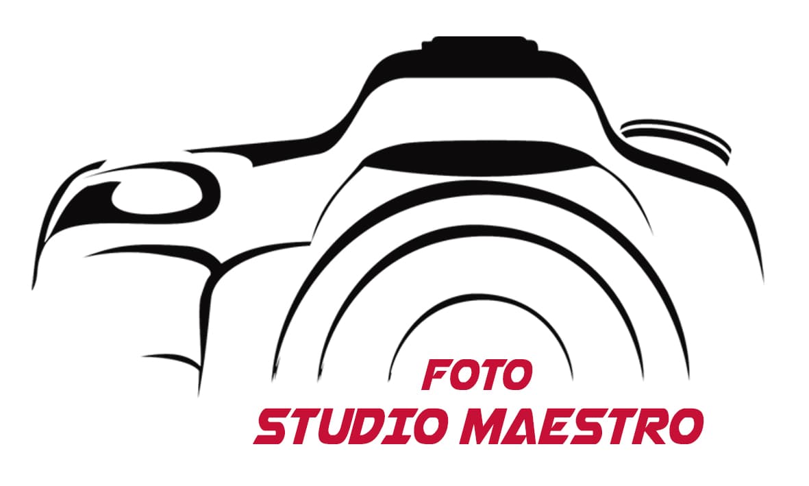 Maestro logo
